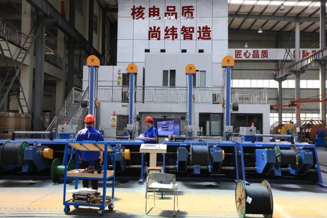 1736749594279147.jpg 3.jpg